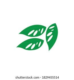 holow hojas diseño vectorial Icono de ilustración plantilla de logotipo
