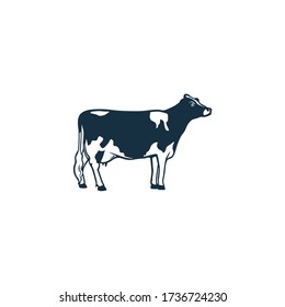 Holstein black and white patched coat breed cattle. Cow front, side view, walking, standing, vector illustrations