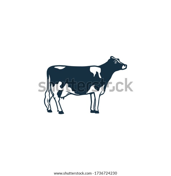 Holstein black\
and white patched coat breed cattle. Cow front, side view, walking,\
standing, vector\
illustrations