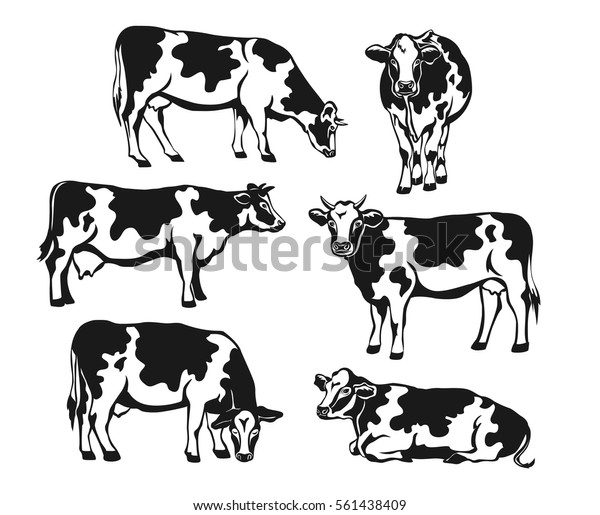 Suchen Sie Nach Holstein Rinder Silhouette Set Kuhe Vorderseite Seitenansicht Gehen Stockbildern In Hd Und Millionen Weiteren Lizenzfreien Stockfotos Illustrationen Und Vektorgrafiken In Der Shutterstock Kollektion Jeden Tag Werden Tausende Neue