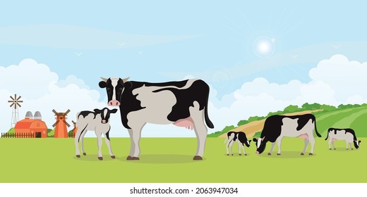 Holstein cow and calves in the meadow.Different poses on  Rural landscape, vecter illustration.
