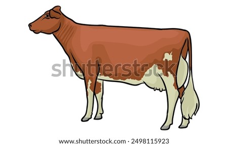 holstein cow with separate white background