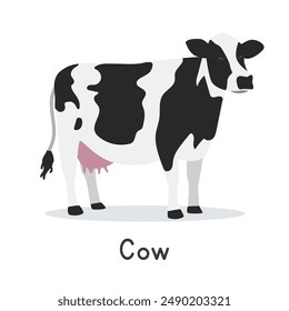 Holstein cow vector illustration. Cute black and white cow cartoon clipart, animal in flat style. Farm animals concept, rural farming. Livestock animal dairy cow vector design isolated on white