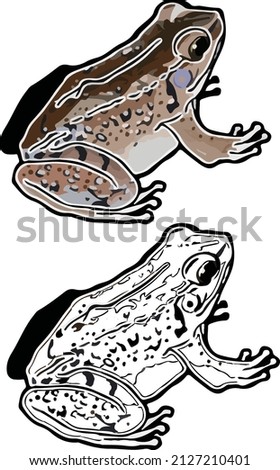 The Holsts frog lives in Okinawa.