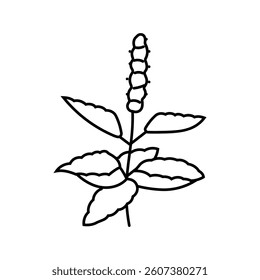 holy basil ayurvedic herb line icon vector. holy basil ayurvedic herb sign. isolated contour symbol black illustration