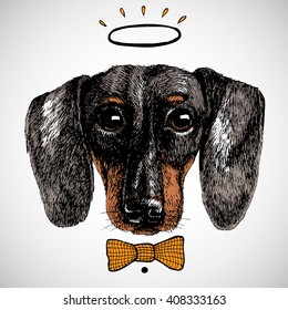 Holy gentleman dachshund. Chic dog portrait. Fashion vector illustration for your blog, logo and other design.
