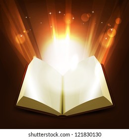 Holy And Magic Book/ Illustration of an opened book illuminating with light rays and shiny bright magic light rays rising from the pages