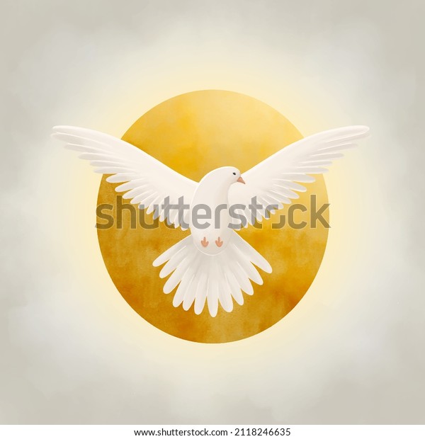 Holy Spirit symbol dove with halo
and rays of light symbols of the gifts of the Holy Spirit.
