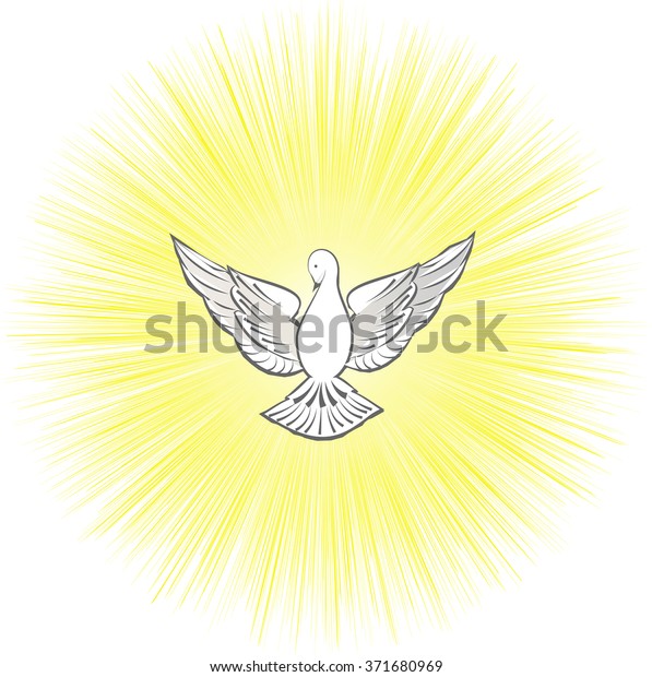 Holy Spirit Symbol Dove Halo Rays Stock Vector (royalty Free) 371680969