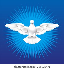 Holy Spirit. White dove as the Holy Spirit.