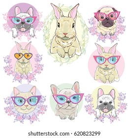 Home animals, vector, illustration