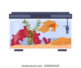 Home aquarium with fish, plant, coral and sandy bottom. Glass square cube tank. Isolated flat vector illustration.