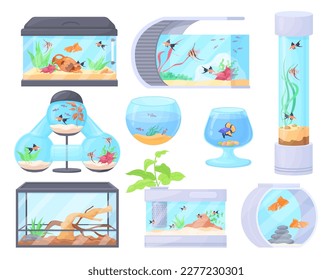 Home aquariums. Square bowl jar glass aquarium tank with underwater animals fish or reptile pet and sea plants decorations, water house, cartoon neat vector illustration of aquarium glass for fish