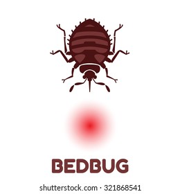 Home bedbug vector illustration - set of household pests in pure style