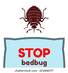 Home bedbug vector illustration - set of household pests in pure style