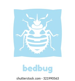 Home bedbug vector illustration - set of household pests in pure style