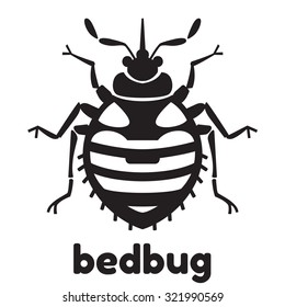 Home bedbug vector illustration    set household pests in pure style