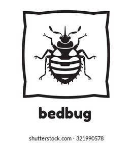 Home bedbug vector illustration - set of household pests in pure style