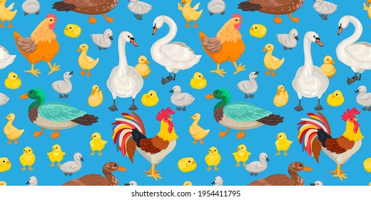 Home birds, seamless pattern. Poultry rooster and chickens, swans and ducks walk on a white background. Childish design for texil pattern. Vector illustration on blue background