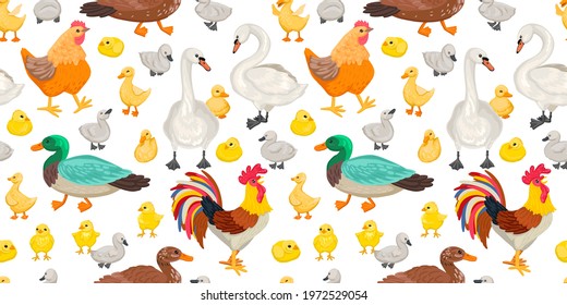 Home birds, seamless pattern. Poultry rooster and chickens, swans and ducks walk on a white background. Childish design for texil pattern. Vector illustration on white background