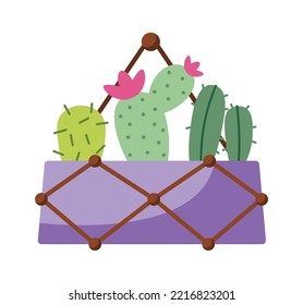 Home cacti plant in a hanging pot