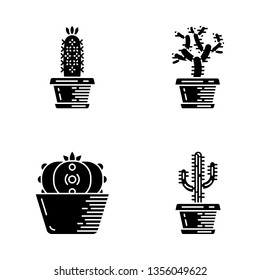 Home cacti in pot glyph icons set. Succulents. Teddy bear cholla, peyote, saguaro, hedgehog cactus.  Silhouette symbols. Vector isolated illustration