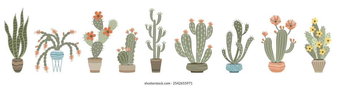 Home cacti and succulents set. Indoor houseplants in flowerpots. Trendy home decor with indoor plants 