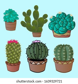 Home cacti.Cactus, different species. Vector set