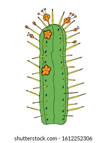 Home cactus plants or flower. Cozy cute element. Exotic or tropical succulent with prickles. Engraved hand drawn in old sketch and vintage doodle style.