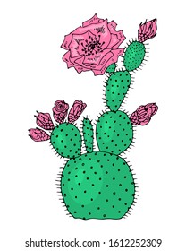 Home cactus plants or flower. Cozy cute element. Exotic or tropical succulent with prickles. Engraved hand drawn in old sketch and vintage doodle style.