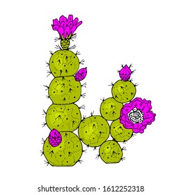 Home cactus plants or flower. Cozy cute element. Exotic or tropical succulent with prickles. Engraved hand drawn in old sketch and vintage doodle style.