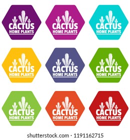 Home cactus plants icons 9 set coloful isolated on white for web