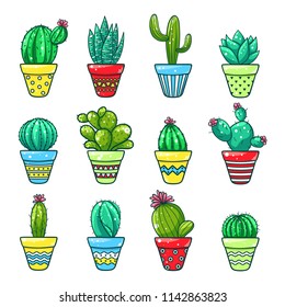 Home cactus set. Green plants grown in bright pots indoors. Vector flat style cartoon decorative cactus illustration isolated on white background