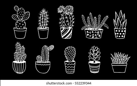 Home Cactus And Succulents In Pots Hand Drawn Sketch
 