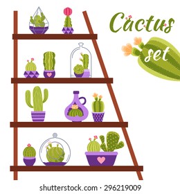 Home cactuses in pots on shelf decorative concept vector illustration