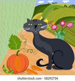 Home cat and pumpkin