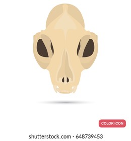 Home cat skull color flat icon for web and mobile design