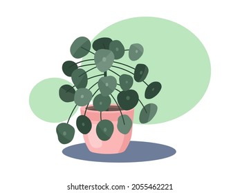 Home chinese money tree in a pot illustration. Vector chinese money  plant isolated on white abstract background. Botanical cozy colored green lucky money tree leaves illustration for natural design.
