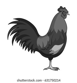 Home cock.Animals single icon in monochrome style vector symbol stock illustration web.
