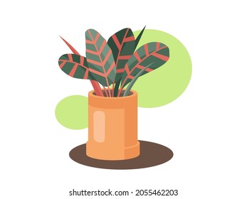 Home Codiaeum in a pot illustration. Vector Codiaeum isolated on white abstract background. Botanical cozy colored green Codiaeum plant illustration for natural design in modern hand drawn hygge style