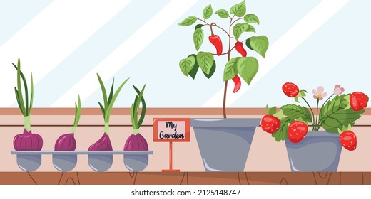 Home cultivation of organic fresh fruits and vegetables on the balcony of the apartment and on the windowsill. Balcony garden. Home garden and cute exterior design.