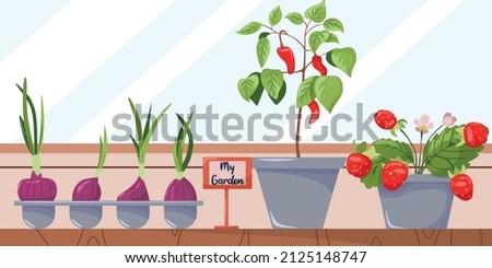 Home cultivation of organic fresh fruits and vegetables on the balcony of the apartment and on the windowsill. Balcony garden. Home garden and cute exterior design.