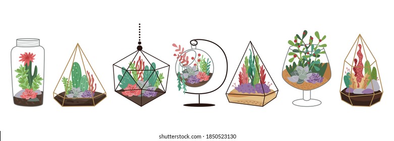 Home decor with florarium. Vector illustration on white. Set of suculents and cactus. 