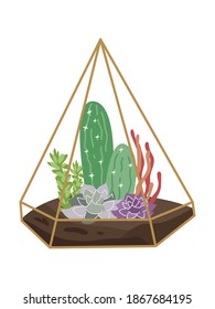 Home decor with florarium. Vector illustration on white. Suculents and cactus.