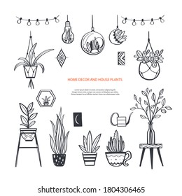 Home decor and House plants vector hand drawn set. Home decorations and interior design elements.Isolated boho and scandinavian cartoon sketches