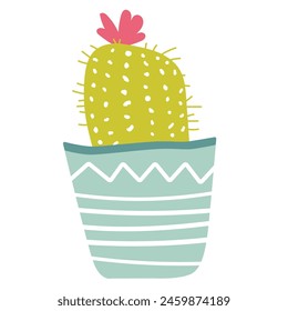 Home decor, houseplants and cacti in stylish pot. Vector illustration