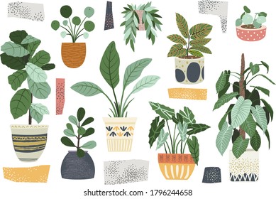 Home Decor Indoor Plant Collections