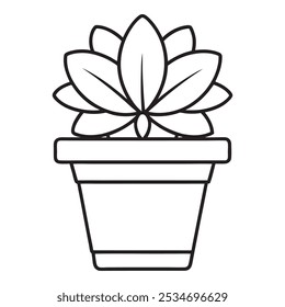 Home decor. Line sketch of flowers in pots, Drawing vector black. Cacti and succulents. Italian herbs and spices in pots