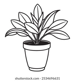 Home decor. Line sketch of flowers in pots, Drawing vector black. Cacti and succulents. Italian herbs and spices in pots