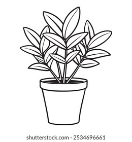 Home decor. Line sketch of flowers in pots, Drawing vector black. Cacti and succulents. Italian herbs and spices in pots